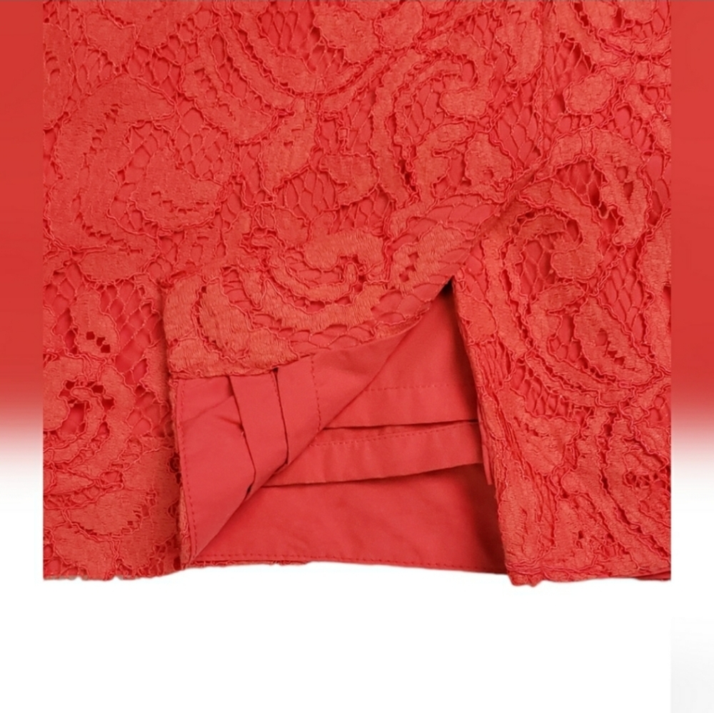 COPY - NWT J. Crew Alexa Dress in Leavers Lace - Picture 9 of 13